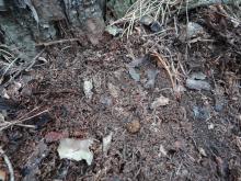 Rozpoczęto jesienne poszukiwania!